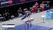 Ian Sandoval - Pommel Horse, WOGA - 2021 US Championships