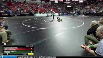 D3-138 lbs Quarterfinal - Dominic Leintz, Clear Lake vs Mason Hoopman, Cedar Grove-Belgium