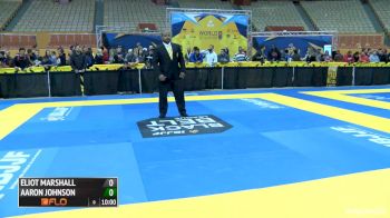 Eliot Marshall vs Aaron Johnson 2016 IBJJF No-Gi World Championships