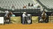 Team Roping Practice