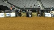 Team Roping Practice 2