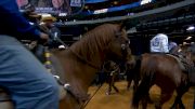 Day 1 Team Roping ERA Worlds