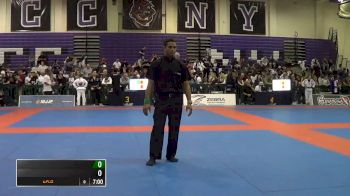 Fernanda Sobral de Silva vs Erin Herle IBJJF 2016 New York BJJ Pro