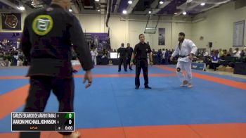 Carlos Farias vs Aaron Johnson IBJJF 2016 New York BJJ Pro