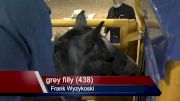 2016 United Bucking Horse Association Day 2