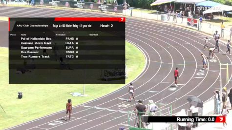 Youth Boys' 4x100m Relay, Semi-Finals 2 - Age 12