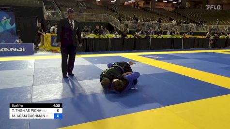 TY THOMAS PICHA vs MATTHEW ADAM CASHMAN 2024 Pan Jiu Jitsu IBJJF Championship