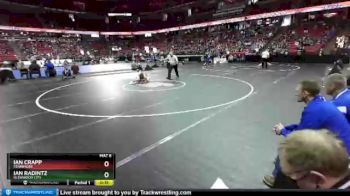 D3-113 lbs Cons. Semi - Ian Crapp, Fennimore vs Ian Radintz, Glenwood City