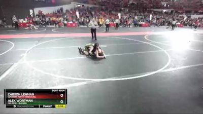 87 lbs Cons. Round 3 - Carson Lehman, Warrior Youth Wrestling vs Alex Wortman, Melrose-Mindoro