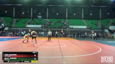170 lbs Cons. Round 3 - Jake Squires, Buckhorn vs Riley Surles, Pell City