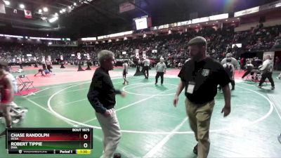 85 lbs Semifinal - Chase Randolph, OCGA vs Robert Tippie, DWA