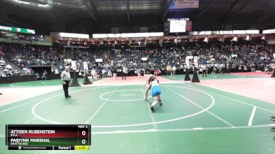 134 lbs Quarterfinal - Paidynn Marshal, Unattached vs Attisen Rubenstein, BTLA