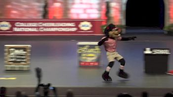 University of Cincinnati - "Bearcat" [2017 Mascot Division IA]