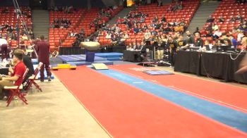 Dylan Ellsworth - Vault, Iowa - 2017 Windy City