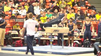 Christopher Root - Pommel Horse, UIC - 2017 Windy City