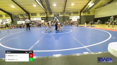 97-106 lbs Rr Rnd 1 - Colton Wilson, Lebanon Yellowjacket vs Kaleb Branch, Lebanon Yellowjacket