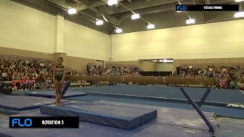 Arielle Ward - Beam, Team Miller - 2017 Legendz Classic