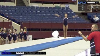 Joanne DeJesus - Vault, Capital - 2017 Metroplex Challenge
