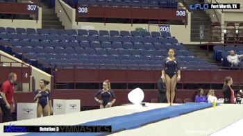 Sherry Wang - Vault, Capital - 2017 Metroplex Challenge