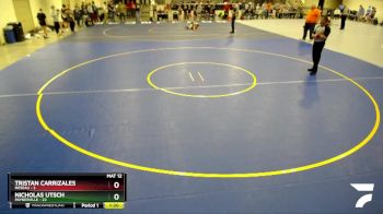 135 lbs Semis & 1st Wrestleback (8 Team) - Keane Johnson, Roseau vs Mason Hansen, Paynesville