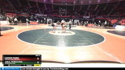 2A 170 lbs Quarterfinal - Cayden Parks, Crystal Lake (Central) vs Aseal Rubalcava, Evergreen Park