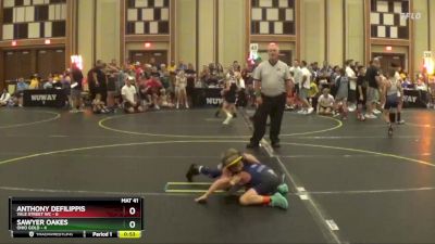 52 lbs Round 2 (6 Team) - Sawyer Oakes, Ohio Gold vs Anthony Defilippis, Yale Street WC