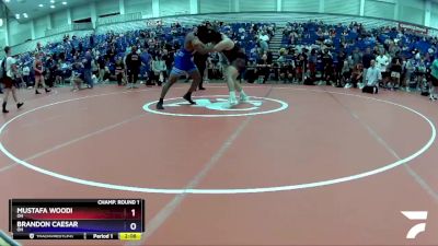 285 lbs Champ. Round 1 - Mustafa Woodi, OH vs Brandon Caesar, OH