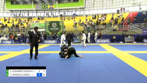 CARLOS EDUARDO VIEIRA ALVES vs JOÃO MARCELO SURCIN VIEIRA 2024 Brasileiro Jiu-Jitsu IBJJF