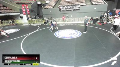 120 lbs Cons. Round 3 - Kenzo Pimentel, California vs Caiden Avila, Red Wave Wrestling