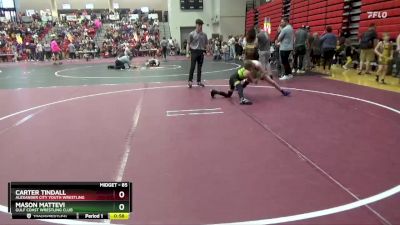 85 lbs Quarterfinal - Mason Mattevi, Gulf Coast Wrestling Club vs Carter Tindall, Alexander City Youth Wrestling