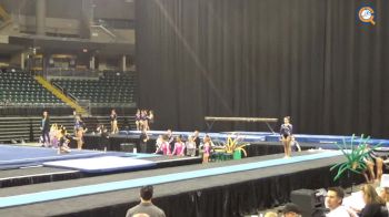Kelsey Alvaro - Vault, TBT - 2017 GymQuarters Invite