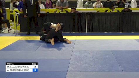MANUEL ALEJANDRO ARIAS vs ALEX ROBERT DIMERCURIO 2024 Pan Jiu Jitsu IBJJF Championship