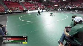D2-126 lbs Champ. Round 1 - Cole Bozile, Oconto Falls vs Jordan Dolata, Adams-Friendship