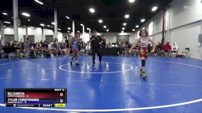 92 lbs Round 3 (8 Team) - Eli Garcia, South Carolina vs Tyler Christensen, Missouri Blue