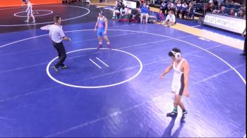 125 lbs Final - Darian Cruz, Lehigh vs Josh Terao, American