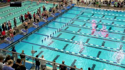 SC TAGS: Boys 13-14 500 Freestyle