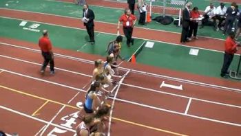 W 4x800 H01