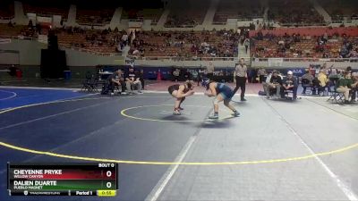 138 lbs Cons. Round 5 - Dalien Duarte, Pueblo Magnet vs Cheyenne Pryke, Willow Canyon