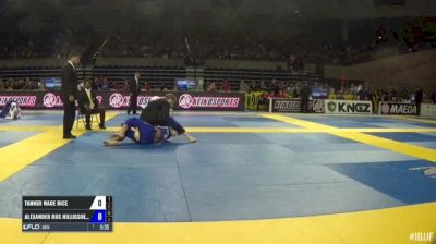 Tanner Wade Rice vs Alexander Riis Hilligsoe Trans IBJJF 2017 Pan Jiu-Jitsu Championship