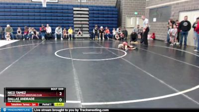 43 lbs Quarterfinal - Dallas Andrade, 208 Badgers vs Nico Tamez, Ontario Animals Wrestling Club