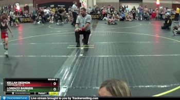 47 lbs Round 2 (4 Team) - Kellan Dedmon, Team Palmetto vs Lorenzo Barbieri, Backyard Brawlers