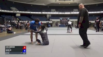 Elias Anderson vs Jacob Lee ADCC North American Trials 2017