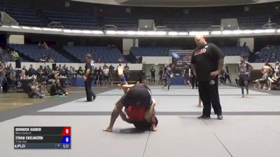 Domnick Haider vs Ethan Crelinsten ADCC North American Trials 2017