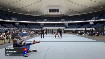 Diego Herzog vs Jack Montgomery ADCC North American Trials 2017