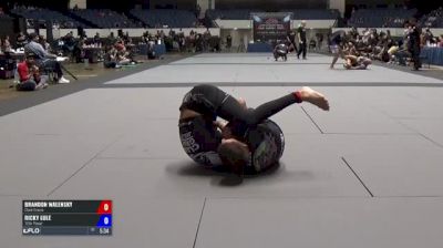 Brandon Walensky vs Ricky Lule ADCC North American Trials 2017