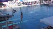 Replay: 1 Meter Springboard - Red - 2022 AAU Diving National Championships | Jul 17 @ 8 AM