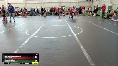 78 lbs Round 1 (6 Team) - Vivian Anderson, South Hills vs Elijah Gill, Revolution Elite