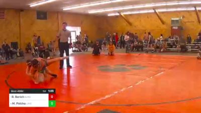 100 lbs Semifinal - Ryder Borich, Sunbury vs Marek Polcha, Loverpool