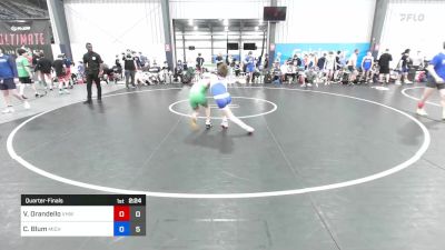 45 kg Quarterfinal - Vincent Orandello, Vougar's Honors Wrestling vs Carson Blum, Michigan Grapplers