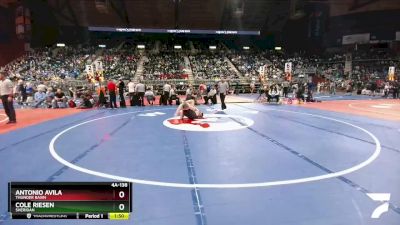 4A-138 lbs Quarterfinal - Antonio Avila, Thunder Basin vs Cole Riesen, Sheridan